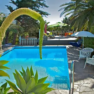 casa-flores.in-canary-islands.com/